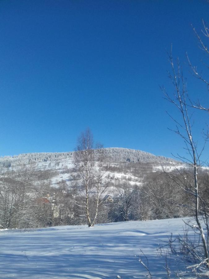 Dziki Domek Sierpnica Buitenkant foto